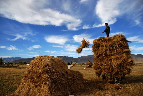 tibet.jpg