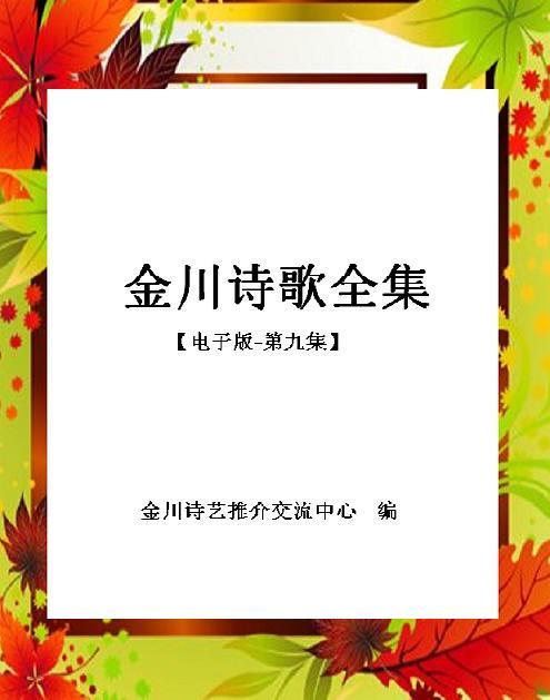 金川诗歌全集【电子版-第九集】封面